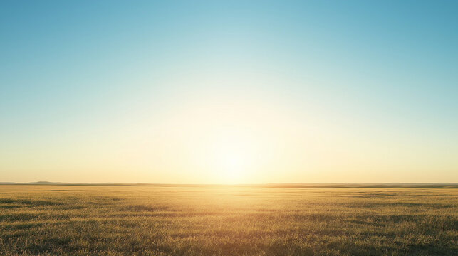 Golden field at sunrise with clear blue sky - Powered by Adobe
