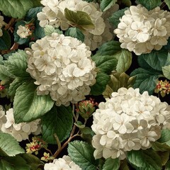Vintage White Hydrangea Botanical Pattern.