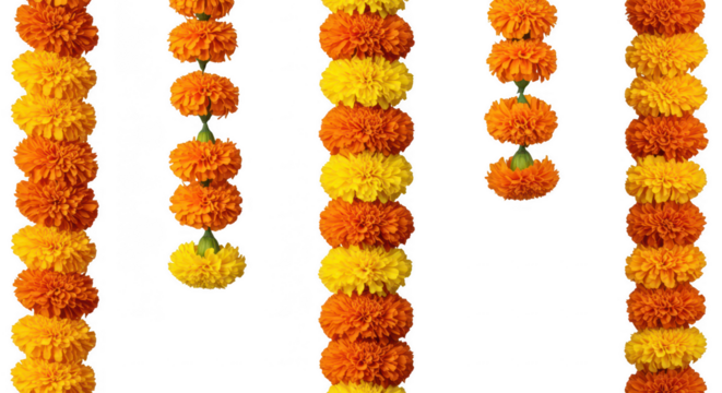 Golden Garland Array: This photograph showcases a vibrant arrangement of marigold garlands, suspended in a visually captivating manner.