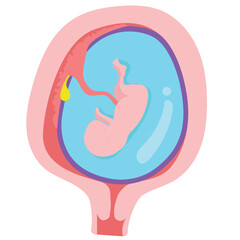 The placenta is a temporary organ that develops in the uterus.