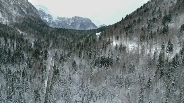 Winter on Lake Predil. View from above.