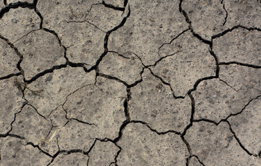 Cracked Earth A Detailed View of Arid Land
