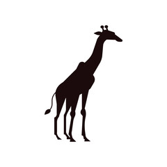 giraffe silhouette isolated on white