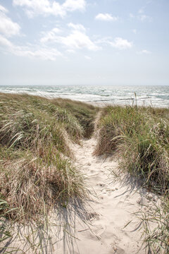 Weg durch die D&uuml;nen zum Ostseestrand - Insel Hiddensee - Hochformat