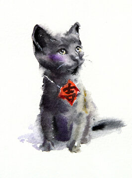 Lucky Black Cat