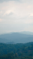 Vertical image of layered mountain ranges covered in dense forest, fading into the misty distance....