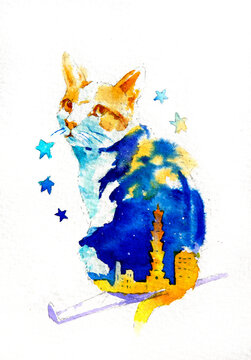 Cat with Starry Night Patterns