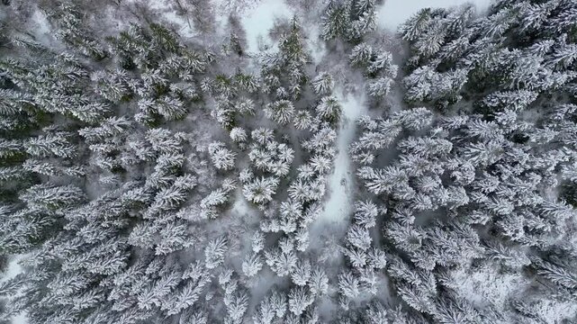 Winter on Lake Predil. View from above.