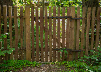 Wooden gate in forest surrounded by greenery