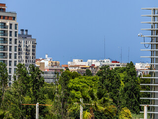 Roofs of buildings in the city among green trees against a blue clear sky