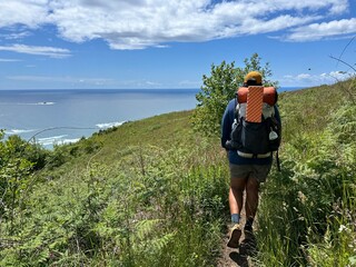 Hiker explores lush coastal trail while enjoying scenic ocean views on a sunny day in the great outdoors