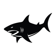 shark vector illustration