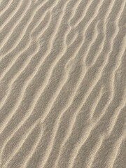Obraz premium Patterns of wind-blown sand creating gentle waves on a serene beach near the ocean on a sunny day