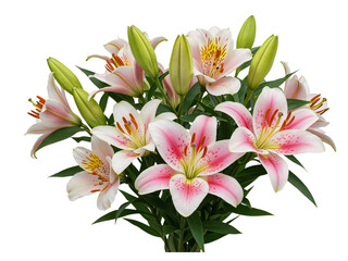 Fototapeta premium Beautiful bouquet of pink and white lilies with green buds and leaves