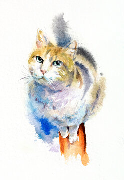 Cat Standing on a Beam