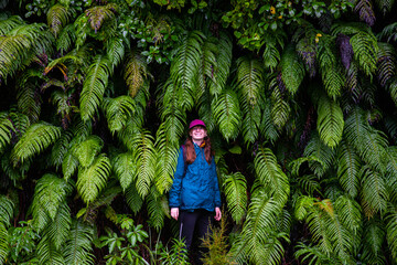 Happy girl hiding playfully among lush kiokio ferns growing on a rocky wall in Milford Sound during...