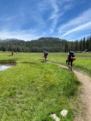 Hiking through a lush meadow on a sunny day in the mountains with friends enjoying nature and adventure