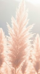 Obraz premium Blurred soft pink feathery grass with bokeh background. Abstract natural texture for calm and decorative design.