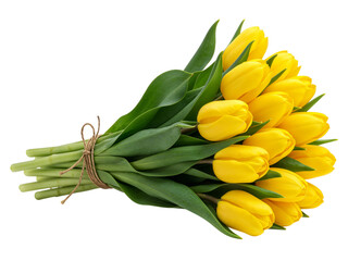 Obraz premium A beautiful bouquet of bright yellow tulips tied with twine isolated on transparent background