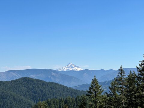 Majestic snow-capped mountain rises above green forests under clear blue sky in Oregon during summer afternoon