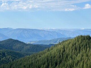 Expansive view of rolling green mountains under a clear blue sky in a serene landscape during late afternoon