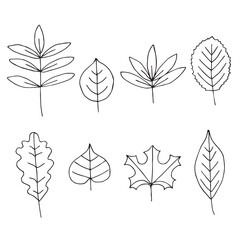 Leaves set of doodles, hand drawing, vector illustration