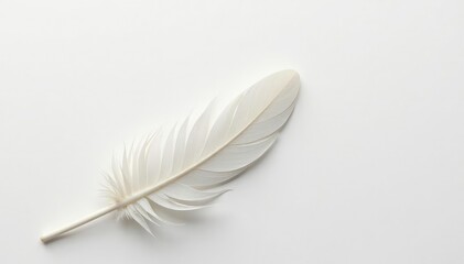 Obraz premium Crisp white feathers against stark white, minimalist aesthetic, clean, geometric