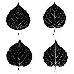 Obraz premium Four black and white leaves with prominent veins arranged in a square pattern on a white background