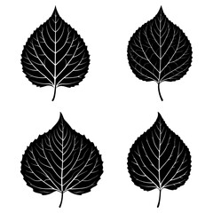 Fototapeta premium Four black and white leaf illustrations with detailed vein patterns on a white background image design art