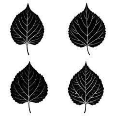 Obraz premium Four black and white leaf illustrations with detailed vein patterns on a white background in a square arrangement