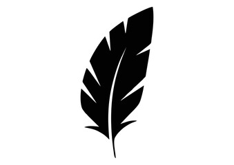 Fototapeta premium Black feather silhouette with detailed veins