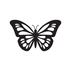 Butterfly vector silhouette, black color isolated on white background. Vector illustration