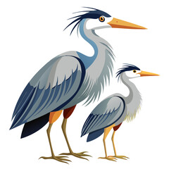 Obraz premium heron on white background