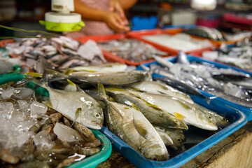 Assorted fresh fish on trays at seafood market display