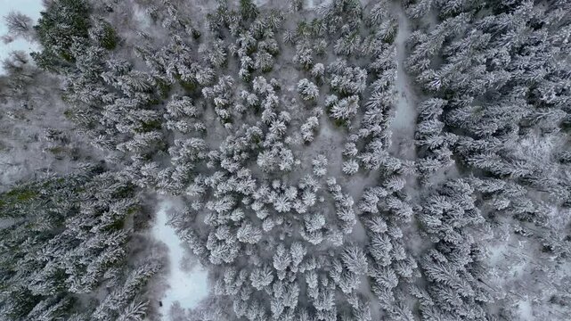 Winter on Lake Predil. View from above.