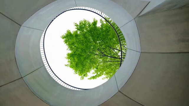 Modern Architecture Frame with Tree Growing Through Circular Opening
