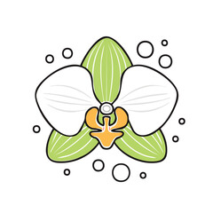 Vector Illustration of Orchid Flower with Bold Black Outlines and Flat Colors in Modern Graphic Style