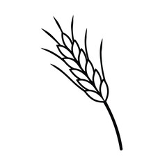 Fototapeta premium rustic-wheat-ear-engraving-illustration-include-af.eps