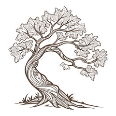 Elegant vector illustration of a stylized oak tree with detailed leaves and delicate line art