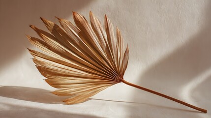 Dried palm leaf placed diagonally across the frame with soft shadow.
