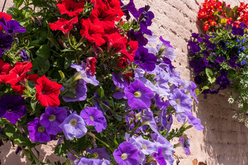 Window box planters with colorful flowers against building. Old Quebec, Canada.