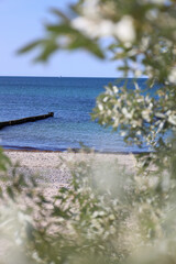 Obraz premium Tranquil waves roll onto the Baltic Sea shore under a wide open sky — a peaceful moment by the coast.