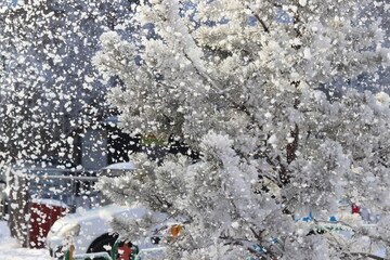 ice on the river