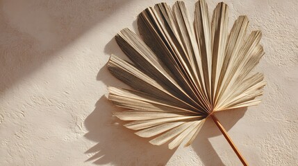 Dried palm leaf artistically styled in flat lay with soft shadows.
