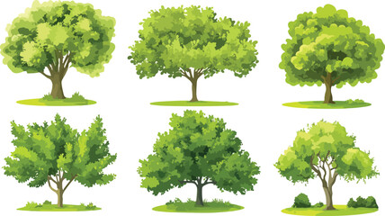Fototapeta premium Set of six different cartoon tree illustrations with green foliage on white