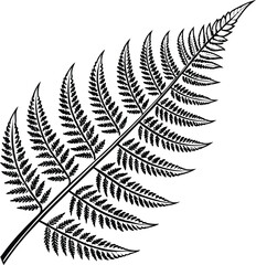 Naklejka premium Green fern leaf frond foliage pattern isolated on a black background