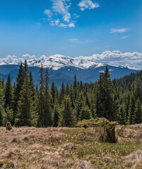 Spring Carpathian mountains view, Ukraine.