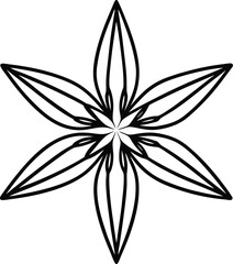 Elegant star anise line art vector graphic design