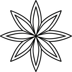 Star anise line art vector graphic design element
