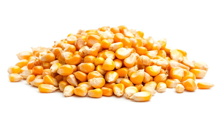A pile of corn seeds, isolated on a white background.